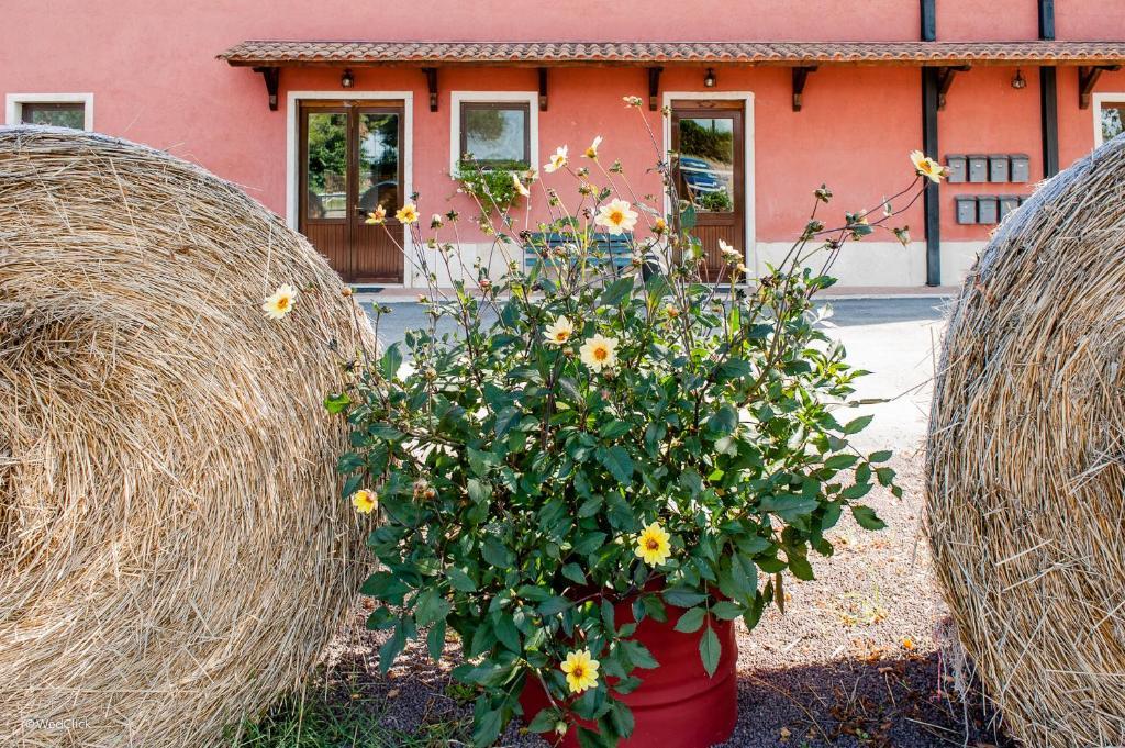 Agriturismo La Meridiana Villanova  Bagian luar foto